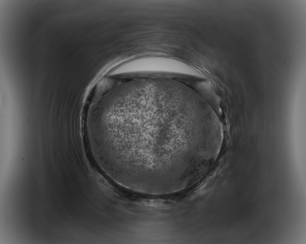 X0000087420244200705041313