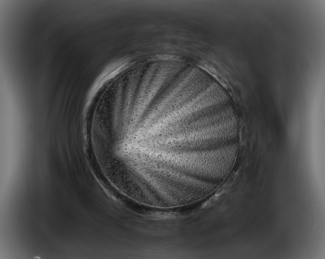 X0000087420245200705041313