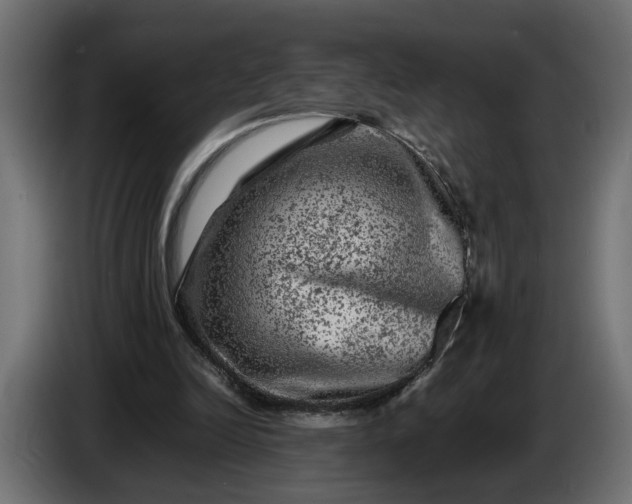 X0000087420246200705041313