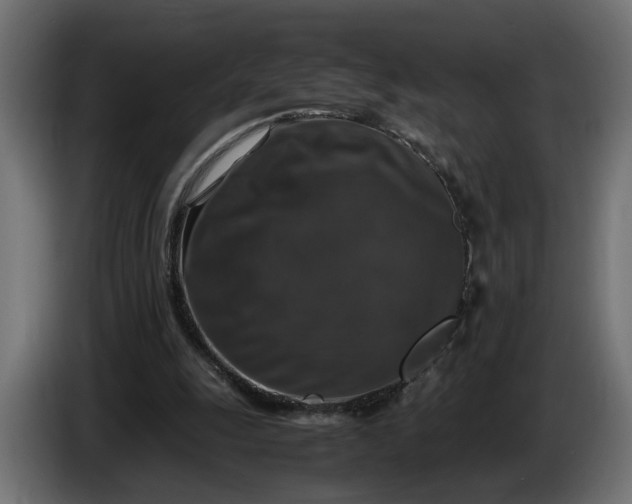 X0000087420247200705041313