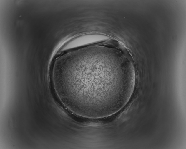X0000087420248200705041313