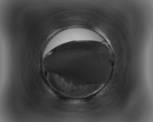 X0000087420249200705041313