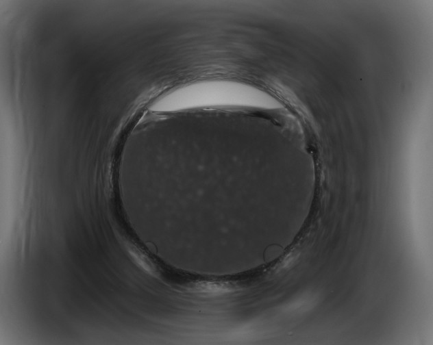 X0000087420250200705041313