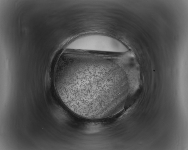 X0000087420252200705041313