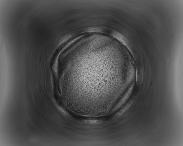 X0000087420253200705041313