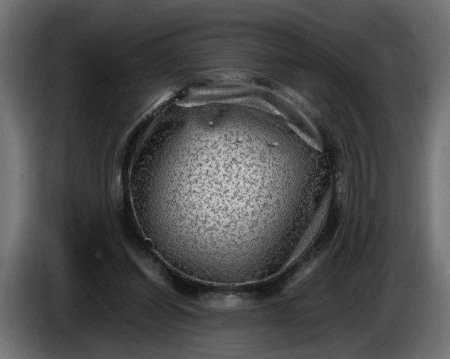 X0000087420254200705041313