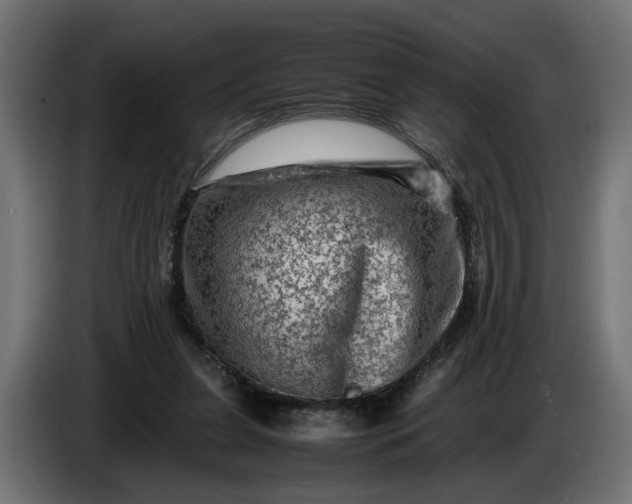 X0000087420255200705041313