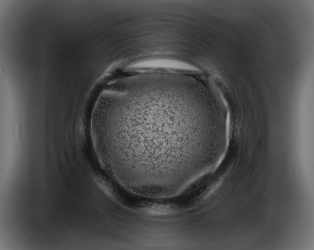 X0000087420256200705041313