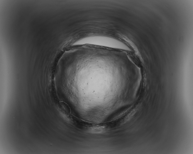 X0000087420257200705041313