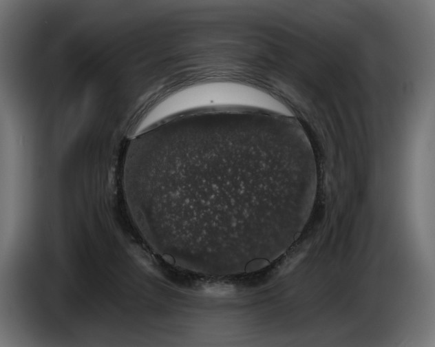 X0000087420258200705041313