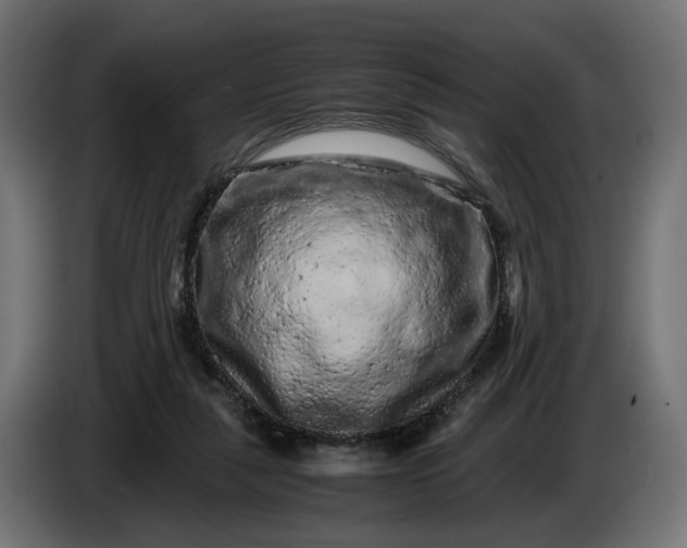 X0000087420259200705041313