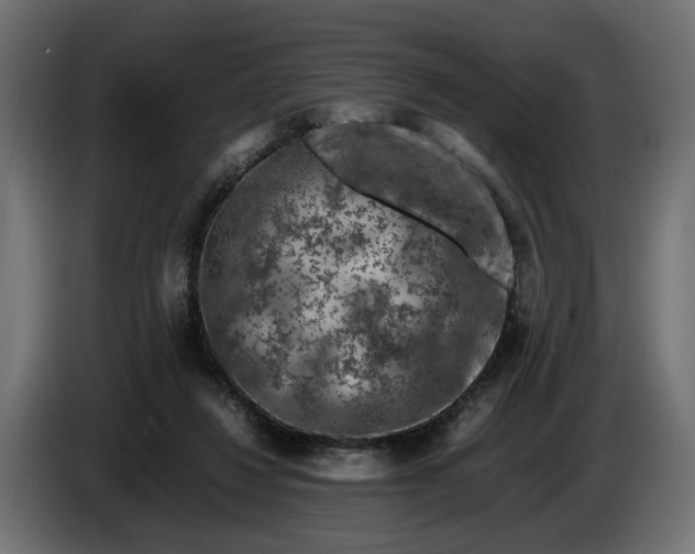 X0000087420260200705041313