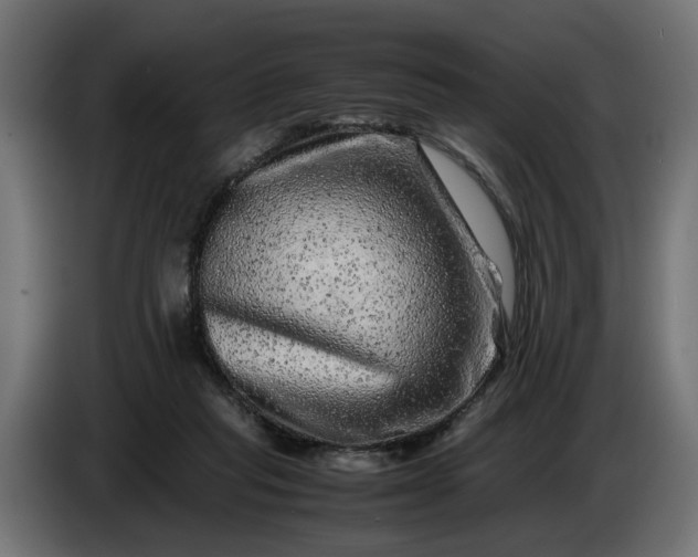 X0000087420261200705041313