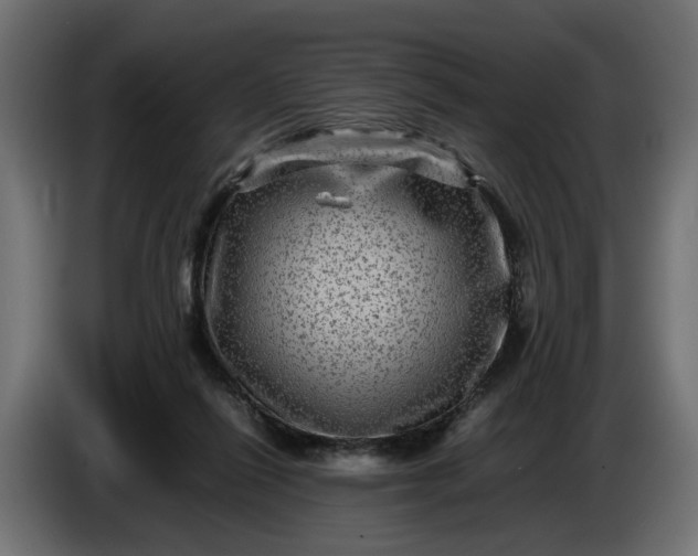 X0000087420262200705041313