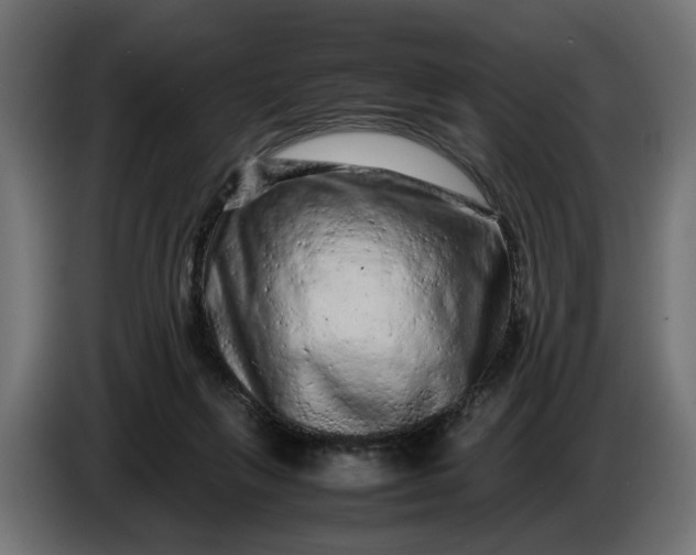 X0000087420263200705041313