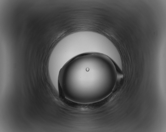 X0000087420264200705041313