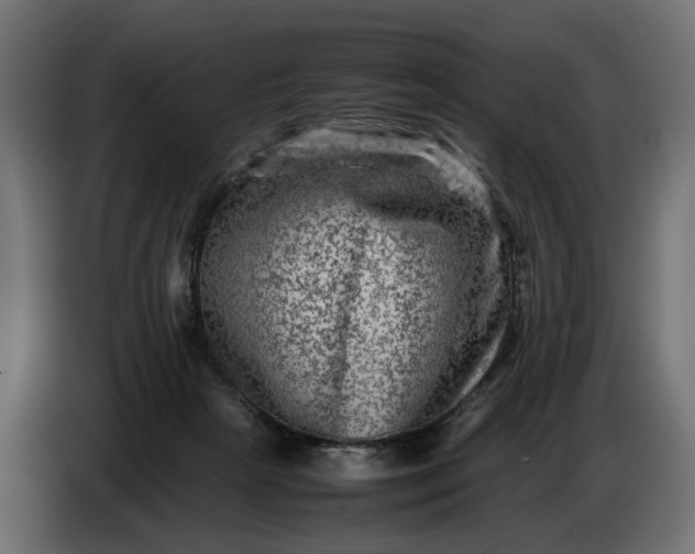 X0000087420265200705041313