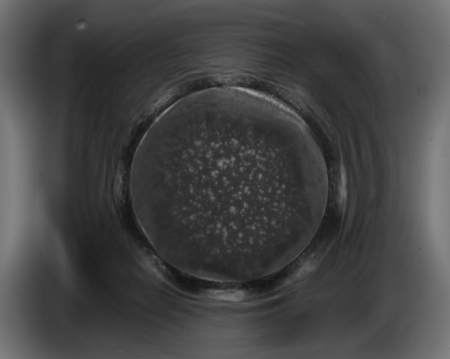 X0000087420266200705041313