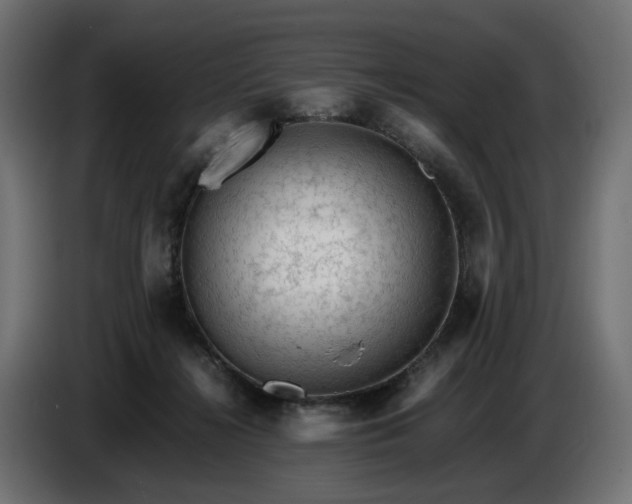 X0000087420268200705041313