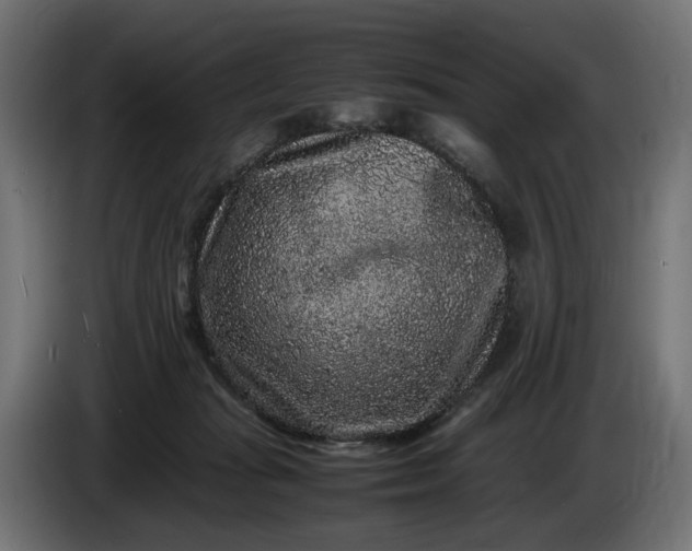 X0000087420269200705041313