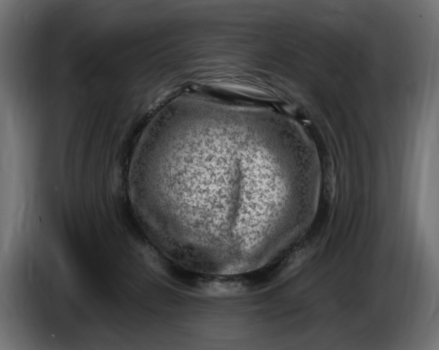 X0000087420270200705041314