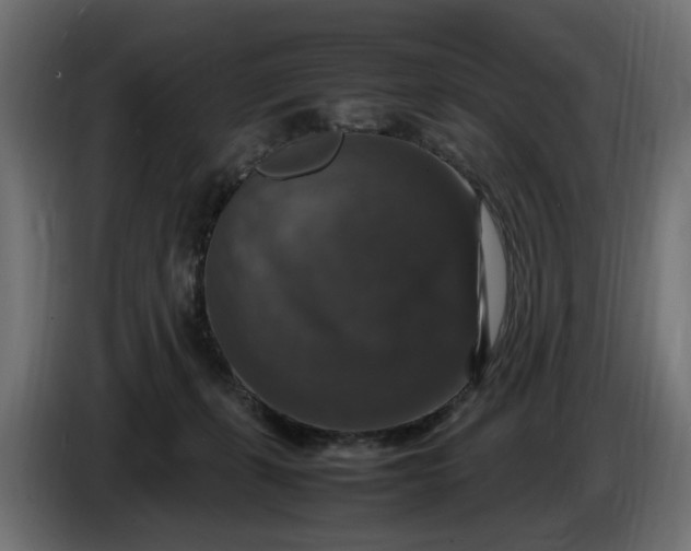 X0000087420271200705041314