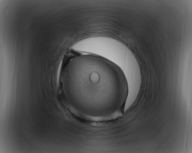X0000087420272200705041314