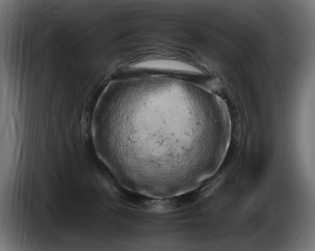 X0000087420273200705041314