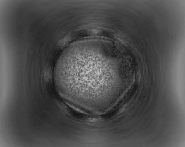 X0000087420274200705041314