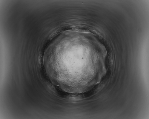 X0000087420275200705041314