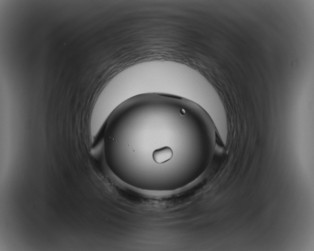 X0000087420276200705041314