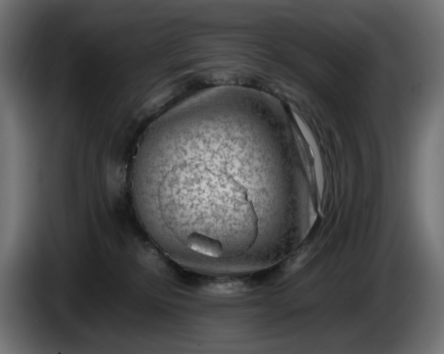 X0000087420278200705041314