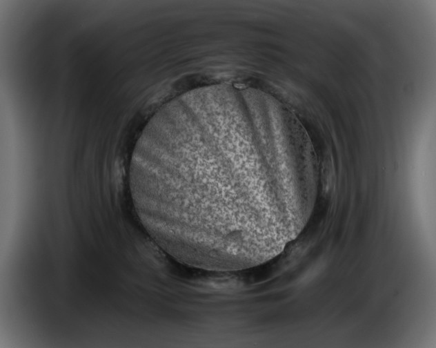 X0000087420279200705041314