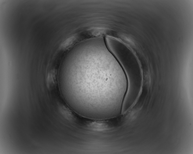 X0000087420280200705041314