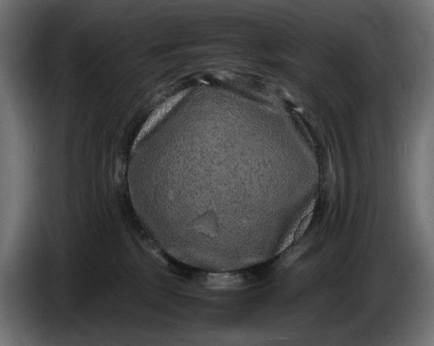 X0000087420281200705041314