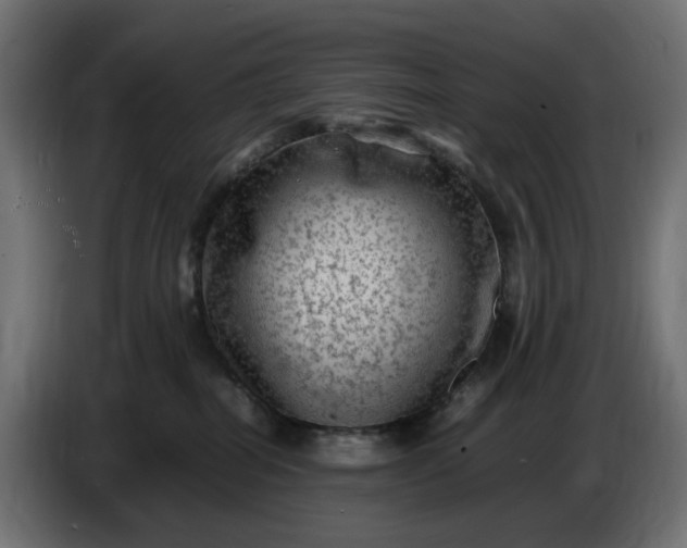 X0000087420282200705041314