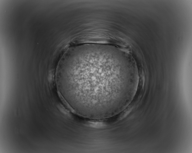 X0000087420284200705041314
