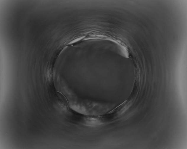 X0000087420285200705041314