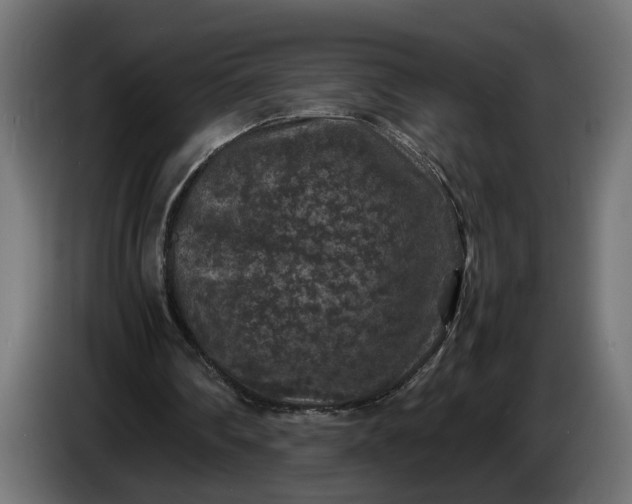 X0000087420290200705041313