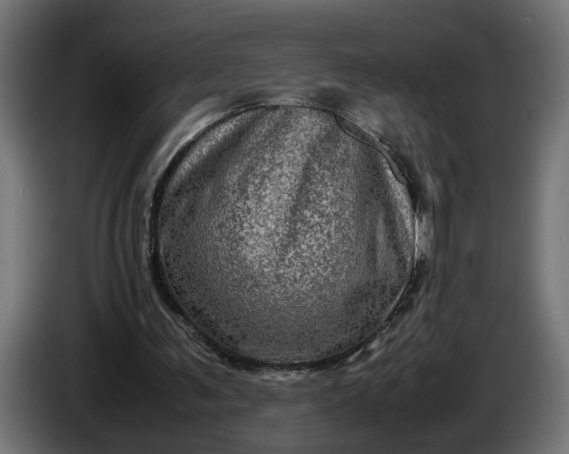 X0000087420291200705041313