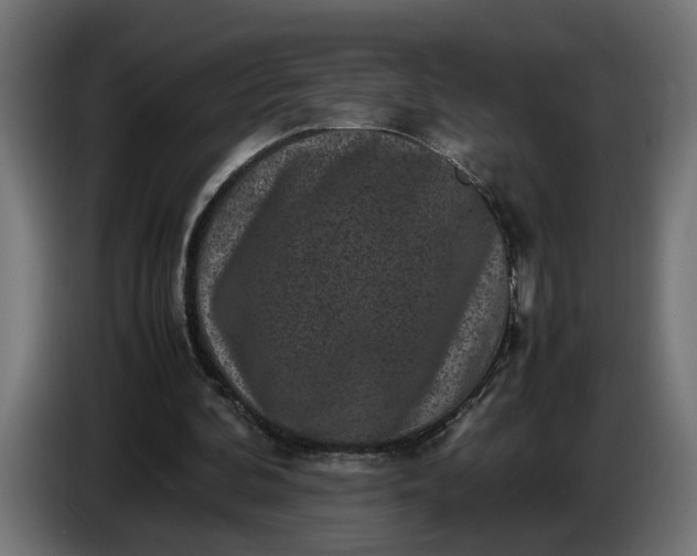 X0000087420292200705041313