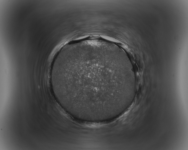 X0000087420293200705041313