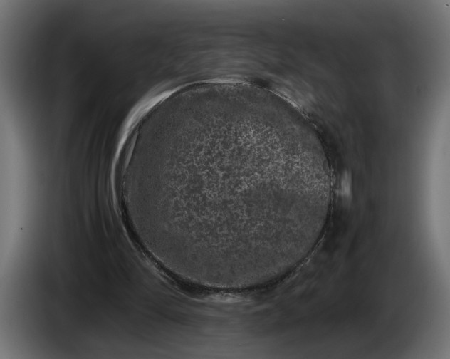 X0000087420294200705041313