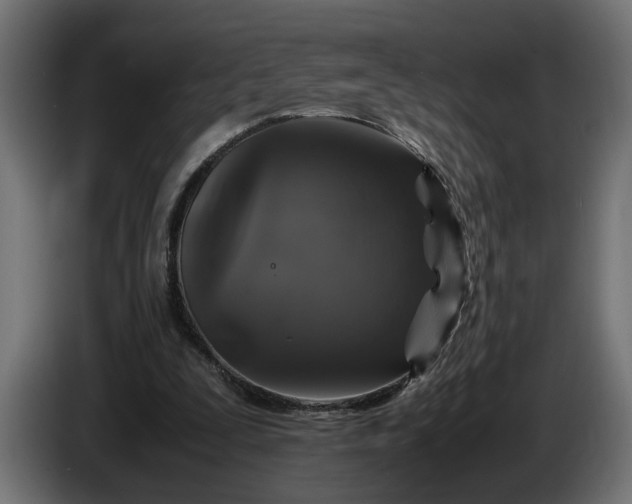 X0000087420295200705041313
