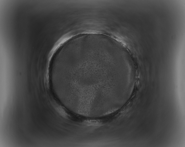 X0000087420296200705041313