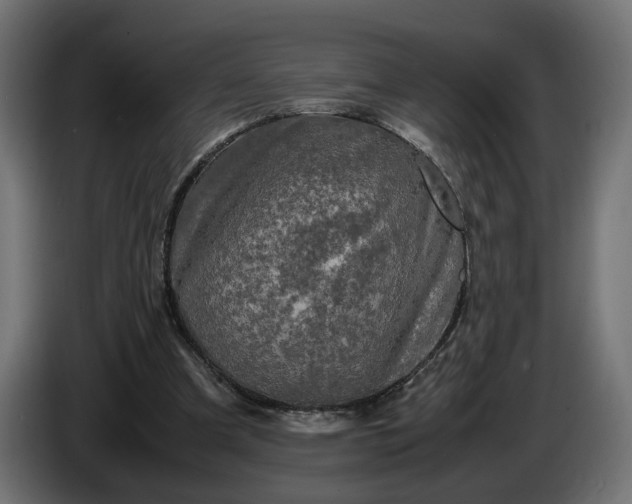X0000087420297200705041313