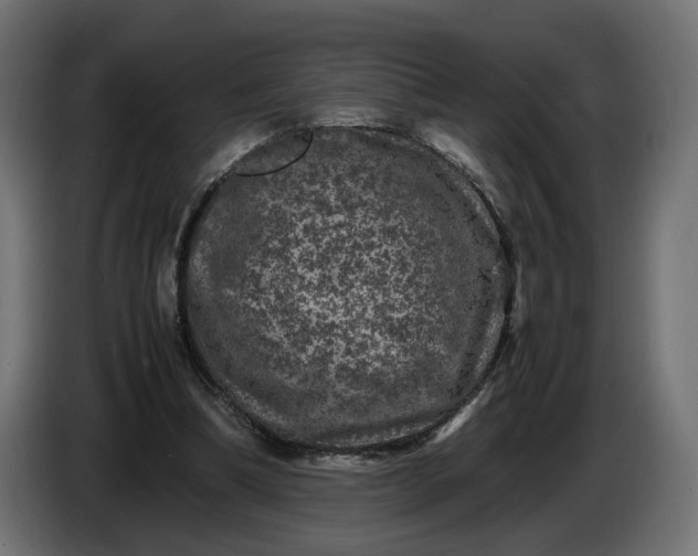 X0000087420298200705041313