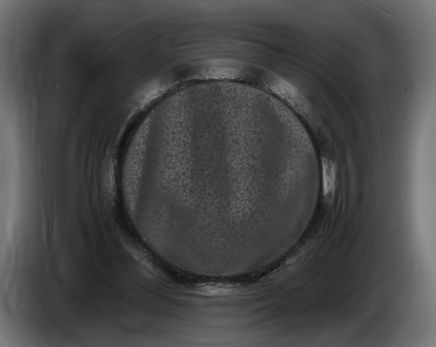 X0000087420300200705041313