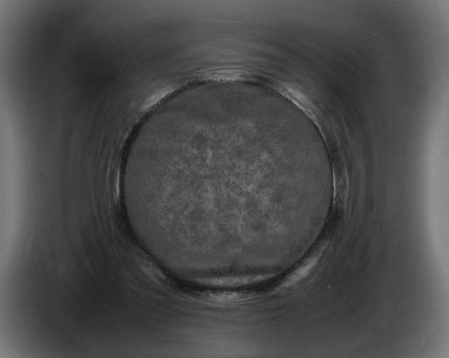 X0000087420301200705041313