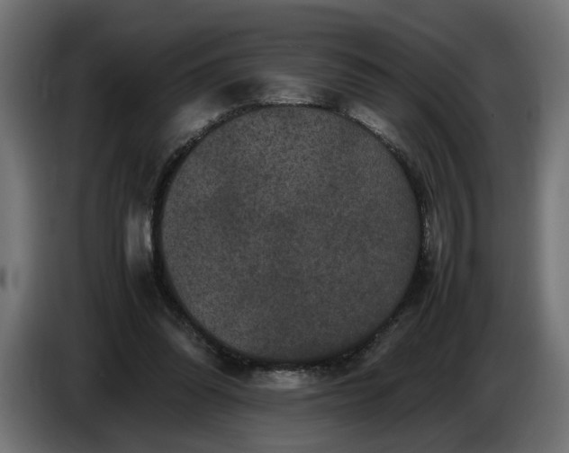 X0000087420302200705041313